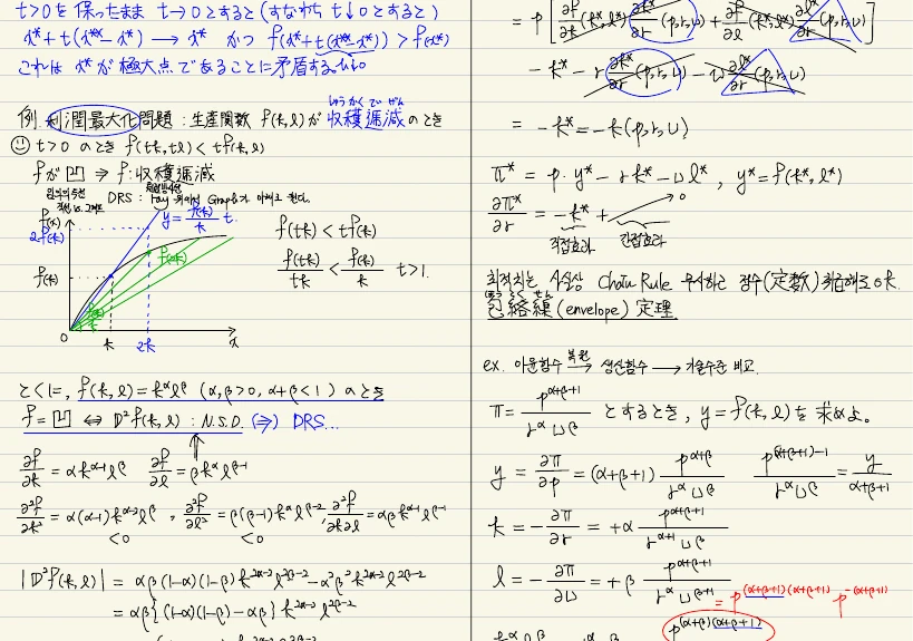 Handwritten notes on convexity, the envelope theorem, and Hotelling's lemma